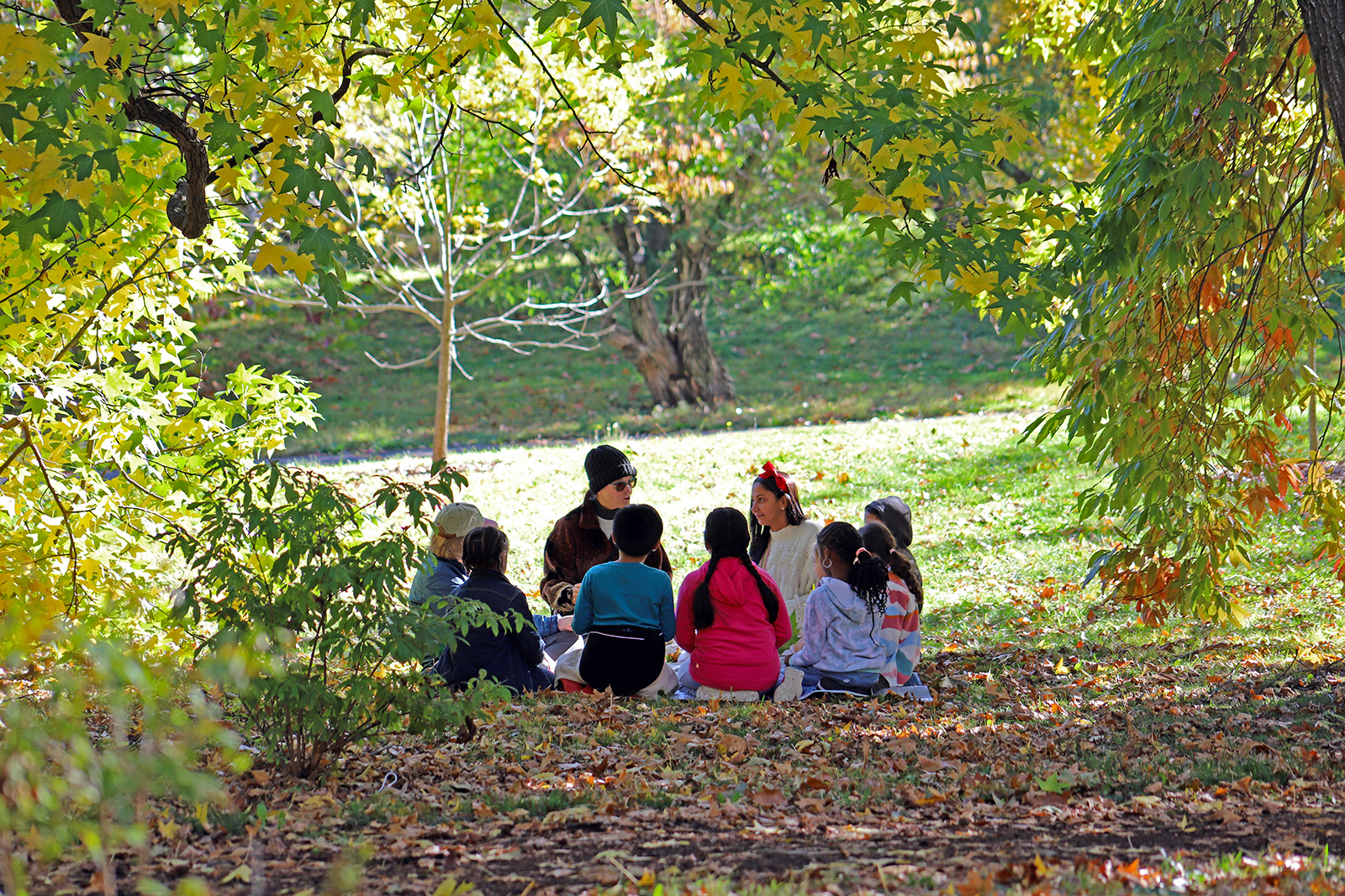 Children attend a Field Study Experiences lesson in the landscape.