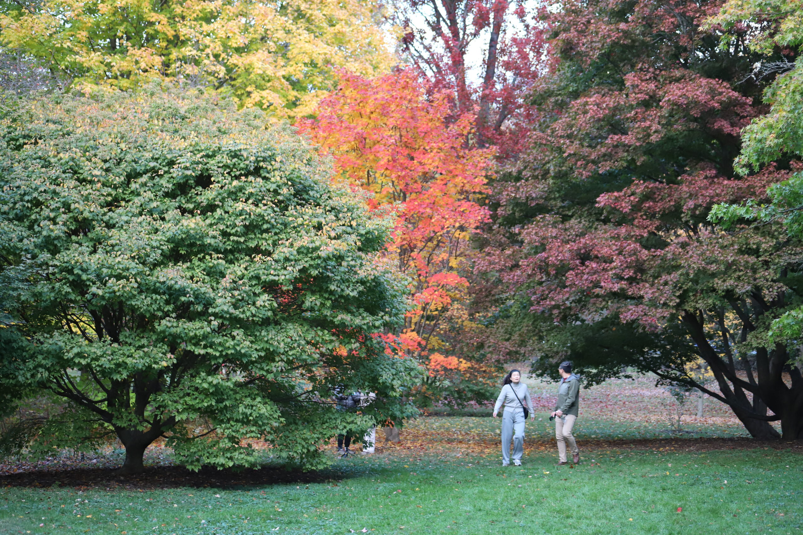 An Everyday Art Tour: A Living Collection