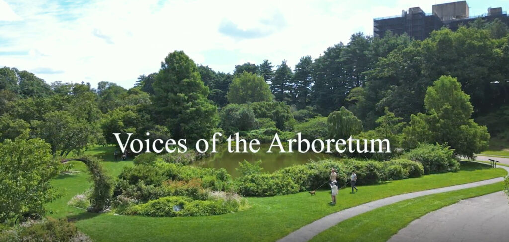 Voices of the Arboretum video