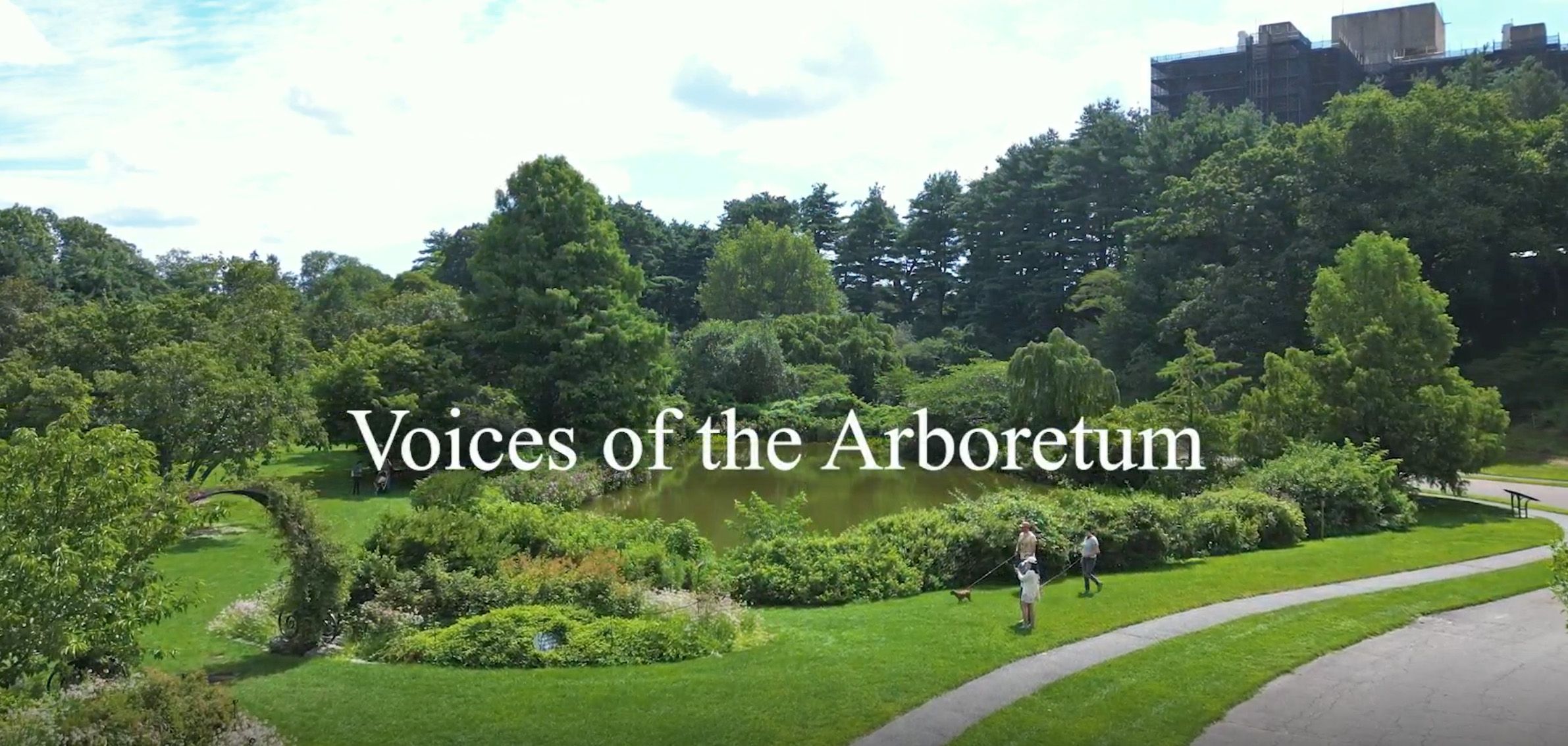 Voices of the Arboretum