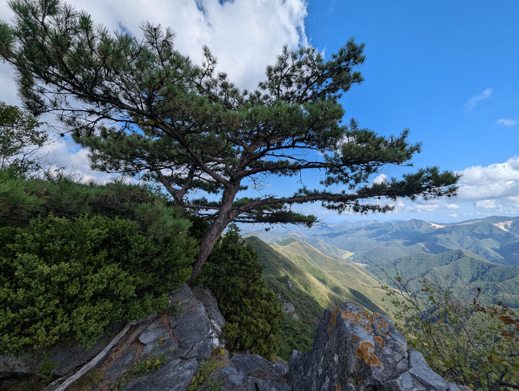 View on Seokbyeongsan in South Korea.