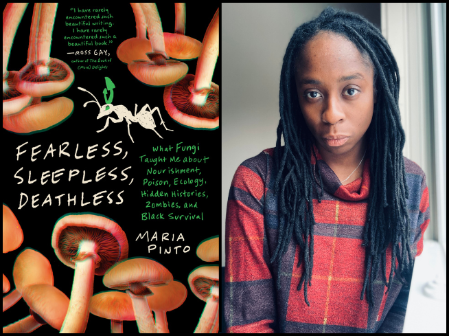 A book cover with brown mushrooms and a headshot of the author