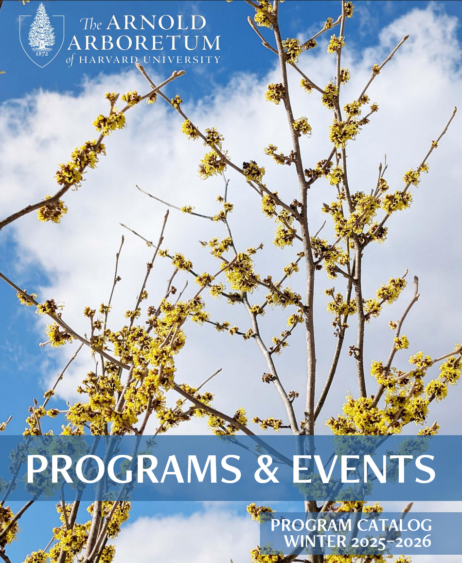 winter 2025-26 program guide cover