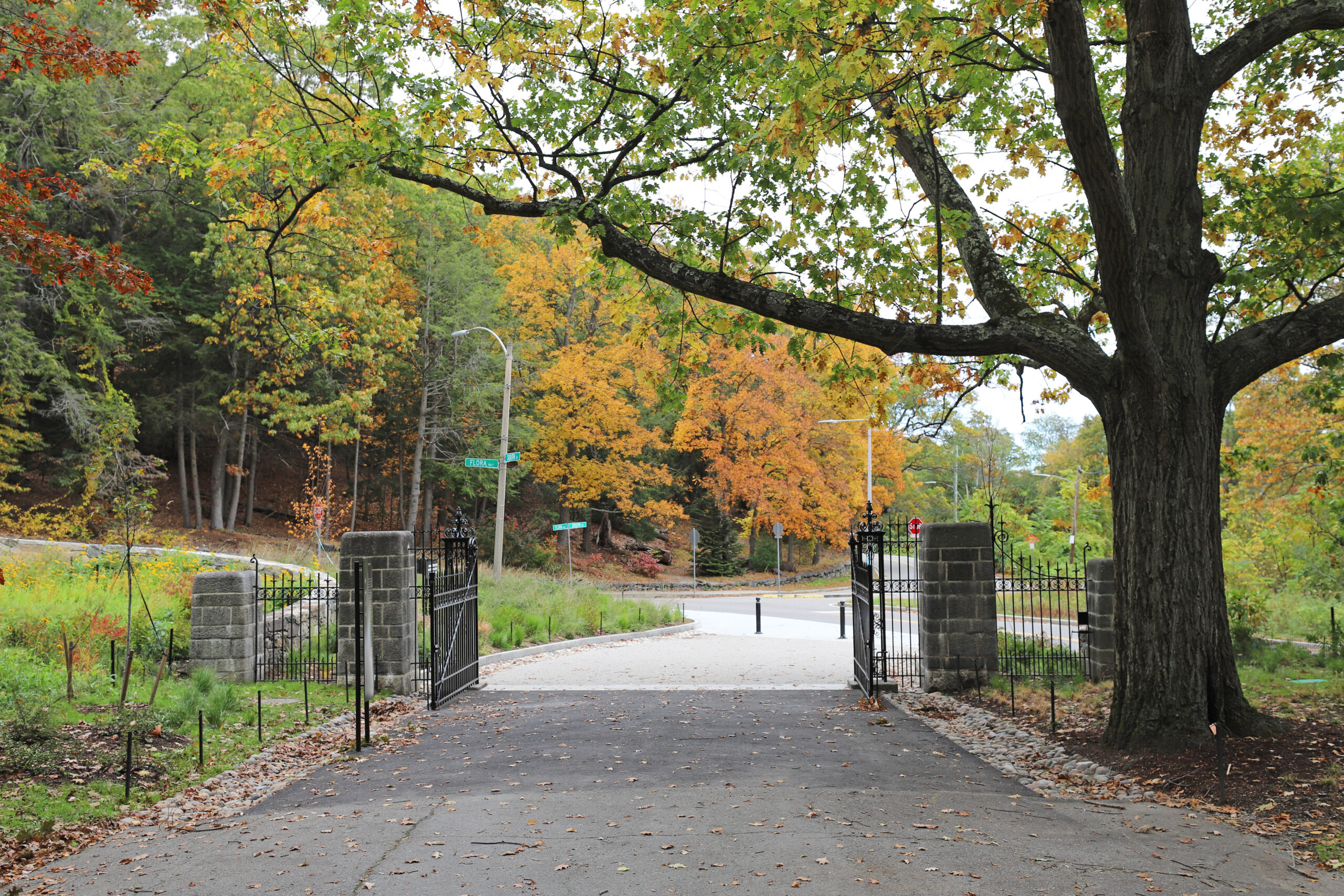 Image of ompleted departure view