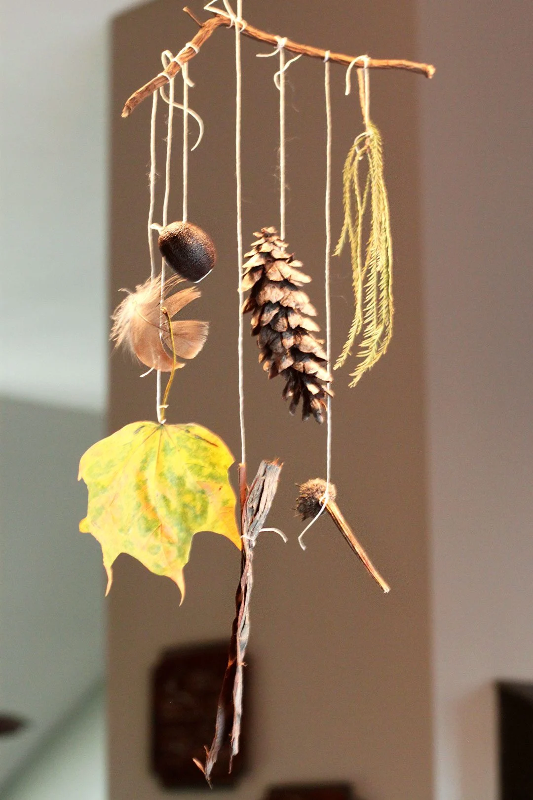 A mobile made from nature objects including leaves, cones, and seeds.