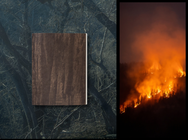 A book next to a photo of a wildfire