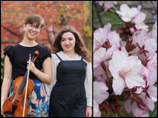 Two young women, one with a violin, and a photo of cherry blossoms