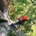 Delia Mahoney climbing
