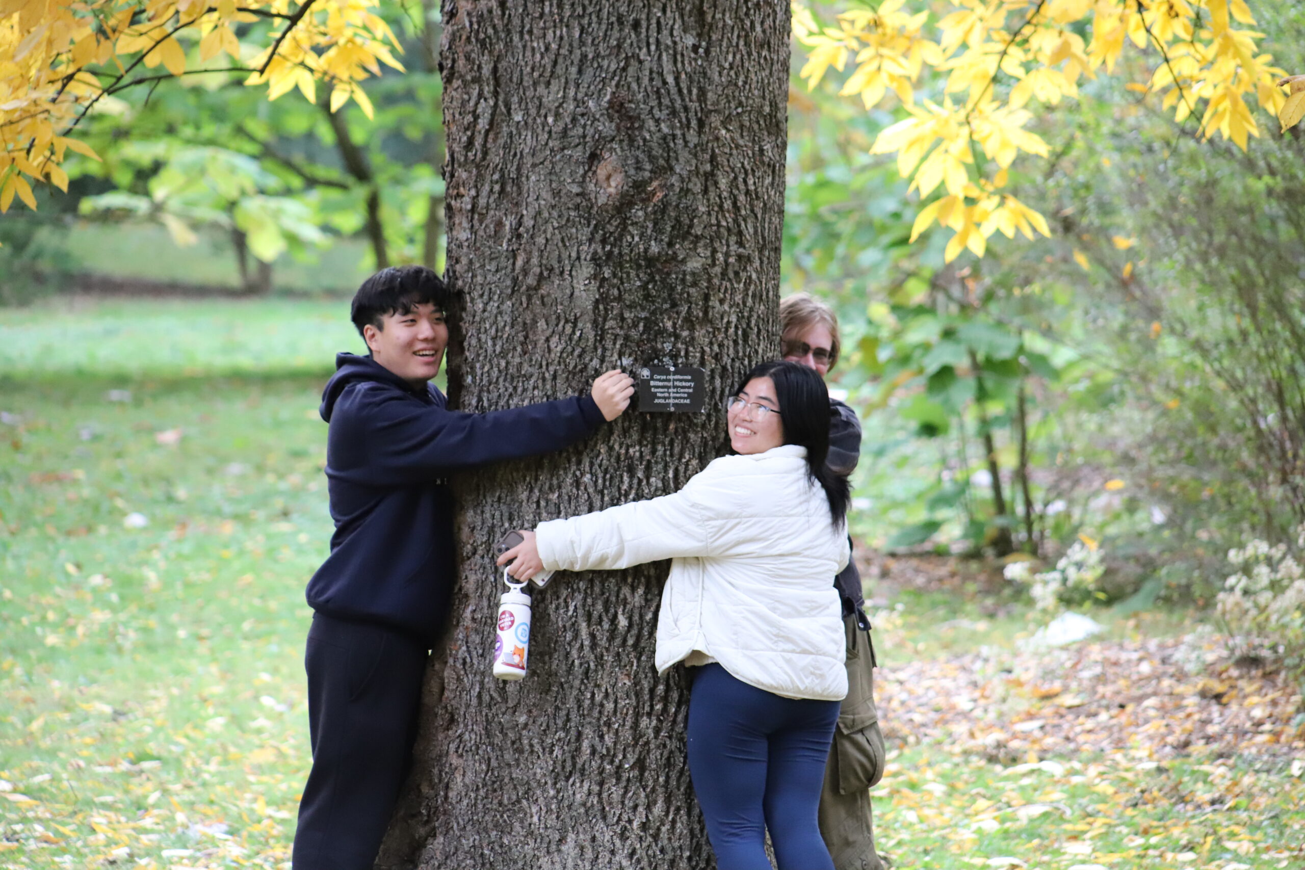 Three people hug a large tree trunk