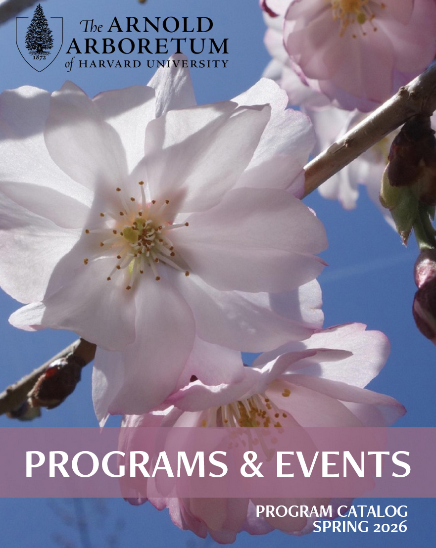 spring program guide cover