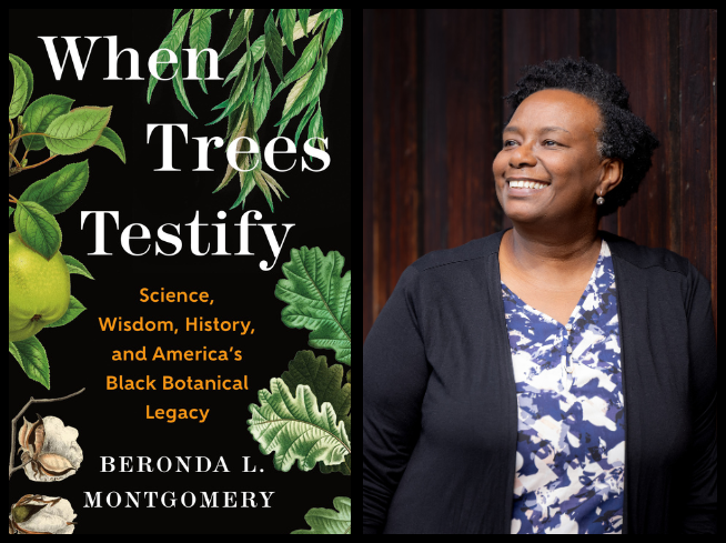 Book cover for When Trees Testify next to a picture of a black woman with short hair