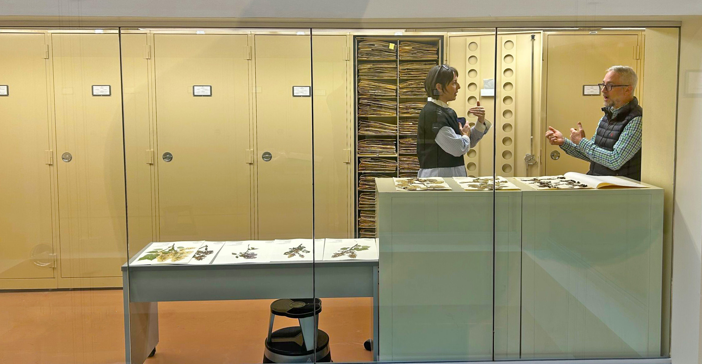 Michael Dosmann, Keeper of the Living Collections and Rosetta Elkin, Professor of Landscape Architecture at the Pratt Institute discuss hawthorns