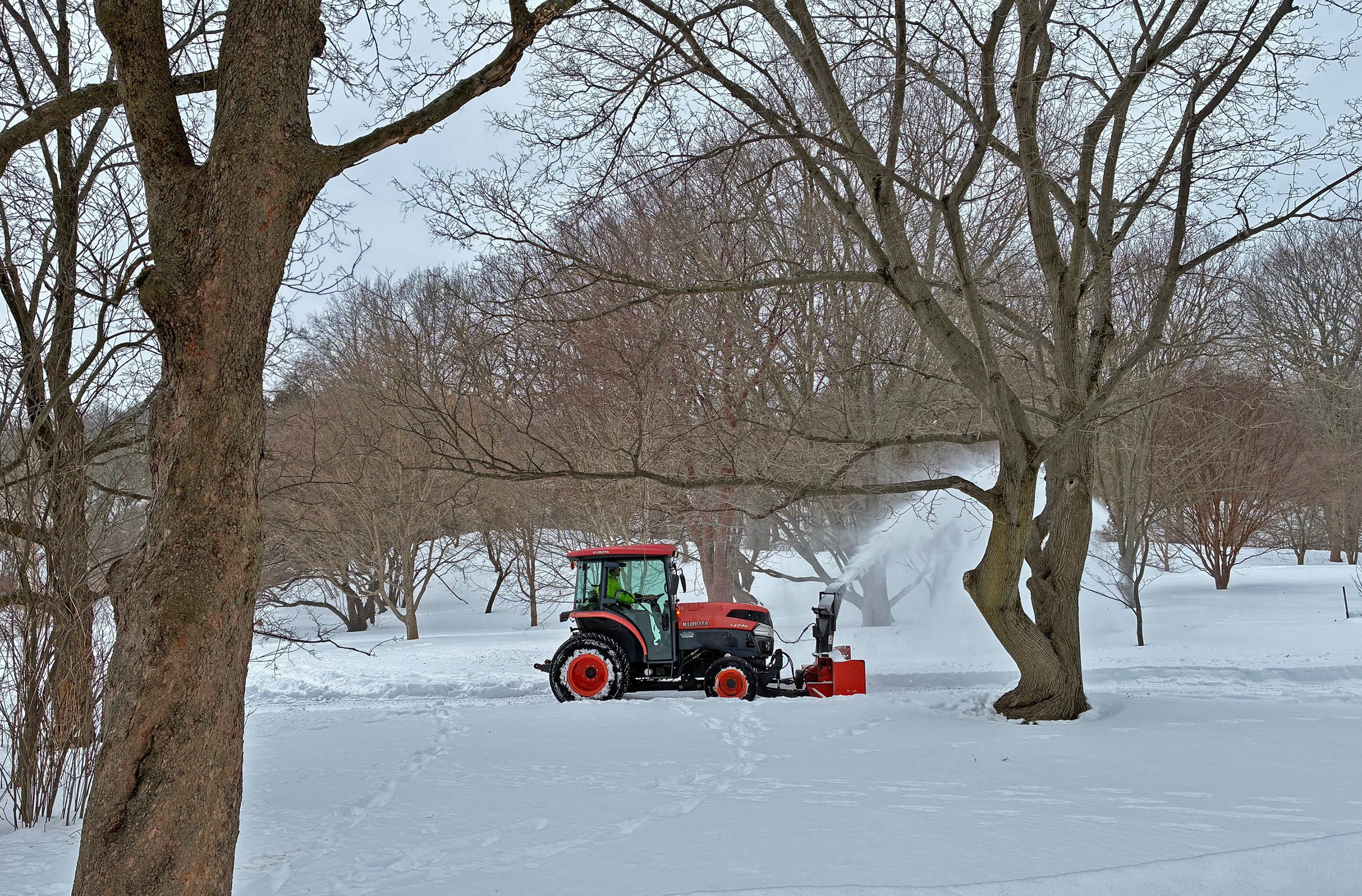Reading the Weather at the Arnold Arboretum
