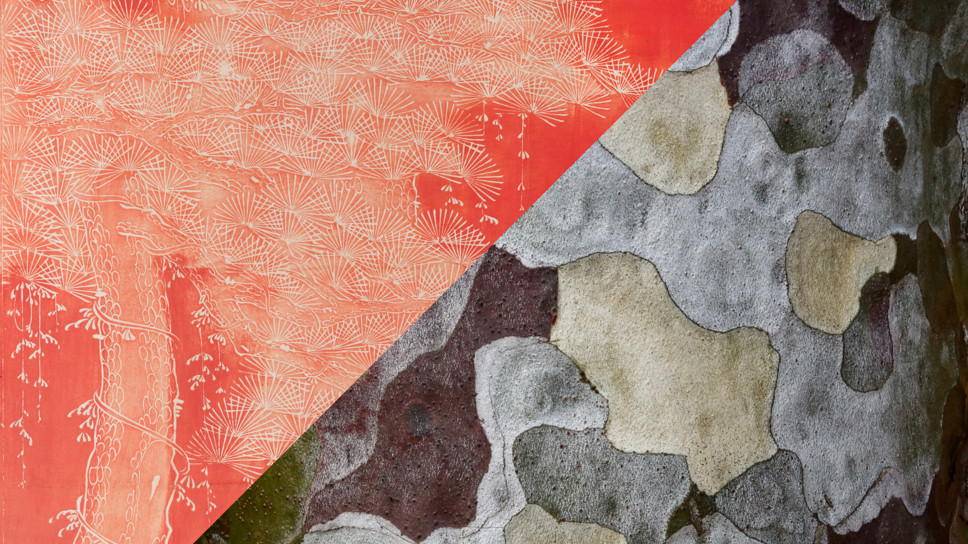 Diagonal split image: the top left shows a red-orange abstract pattern with delicate white lines, resembling tree branches; the bottom right features a close-up of gray, green, and brown mottled tree bark texture.