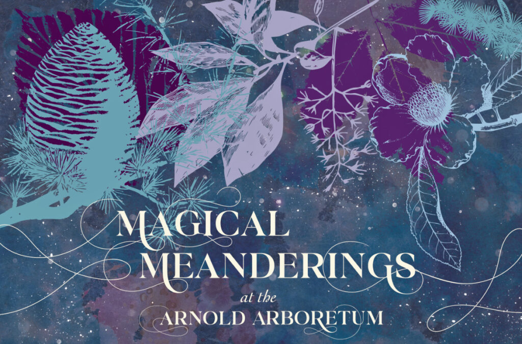 Collage of botanical images and logotype for Magical Meanderings at the Arnold Arboretum