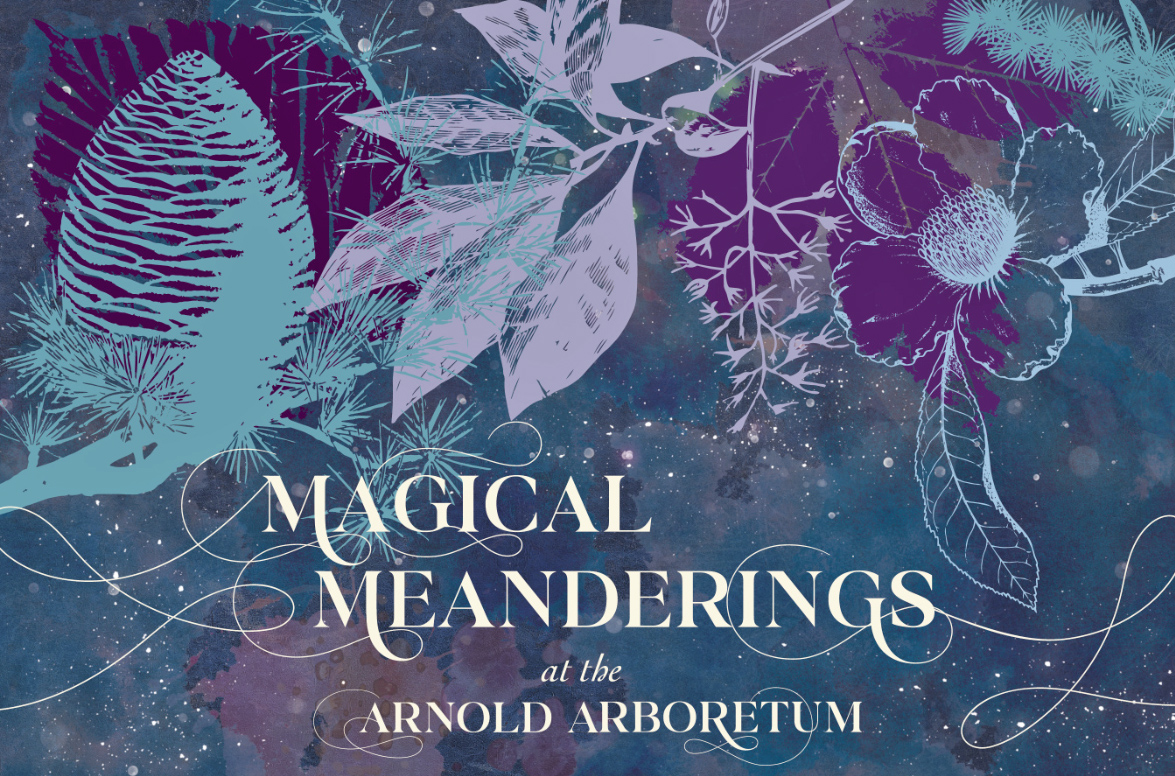 Collage of botanical images and logotype for Magical Meanderings at the Arnold Arboretum