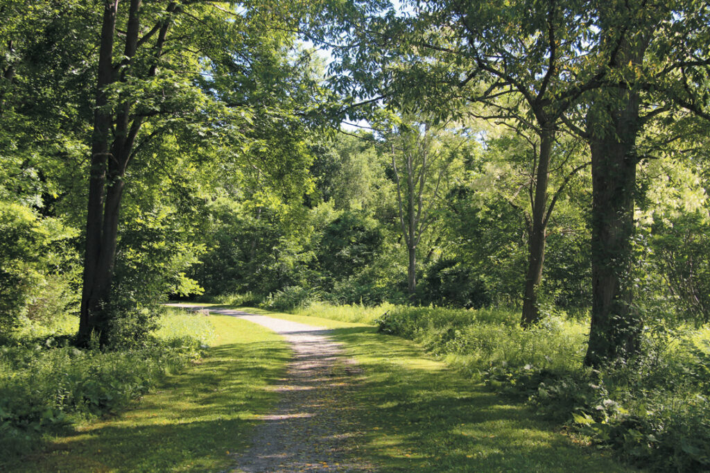 A landscape with a path running through the middle and trees scattered along the sides