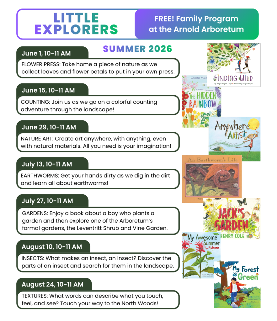 Summer 2026 Little Explorers Schedule. 
