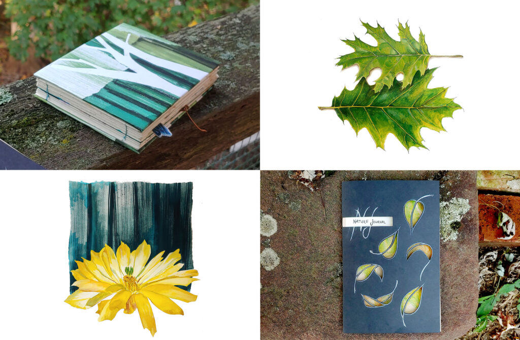 Four images of nature journaling pages