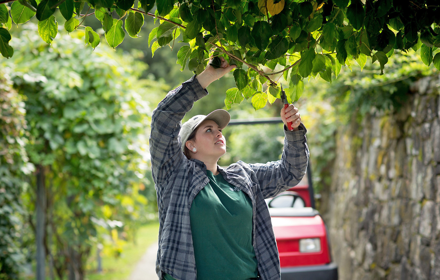 Gardening Gear Horticulturists Swear By