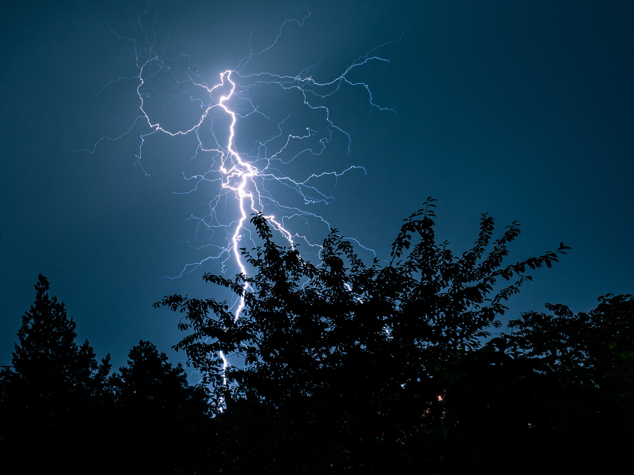 Lightning coming down near a tree