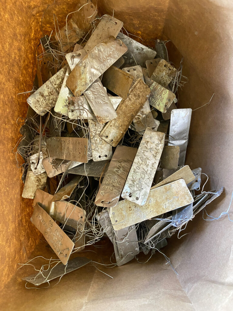 a tangled pile of metal tags naming palm species and cultivar in a brown paper bag