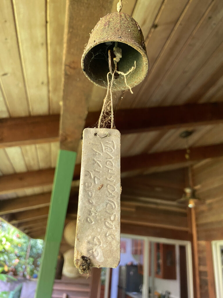A tag for Trachycarpus takil hanging from a bell under the roof of a porch