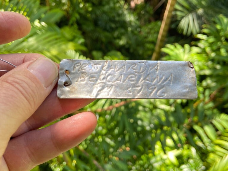 Fingertips holding a metal tag for Pritchardia beccariana against a green background of palm fronds