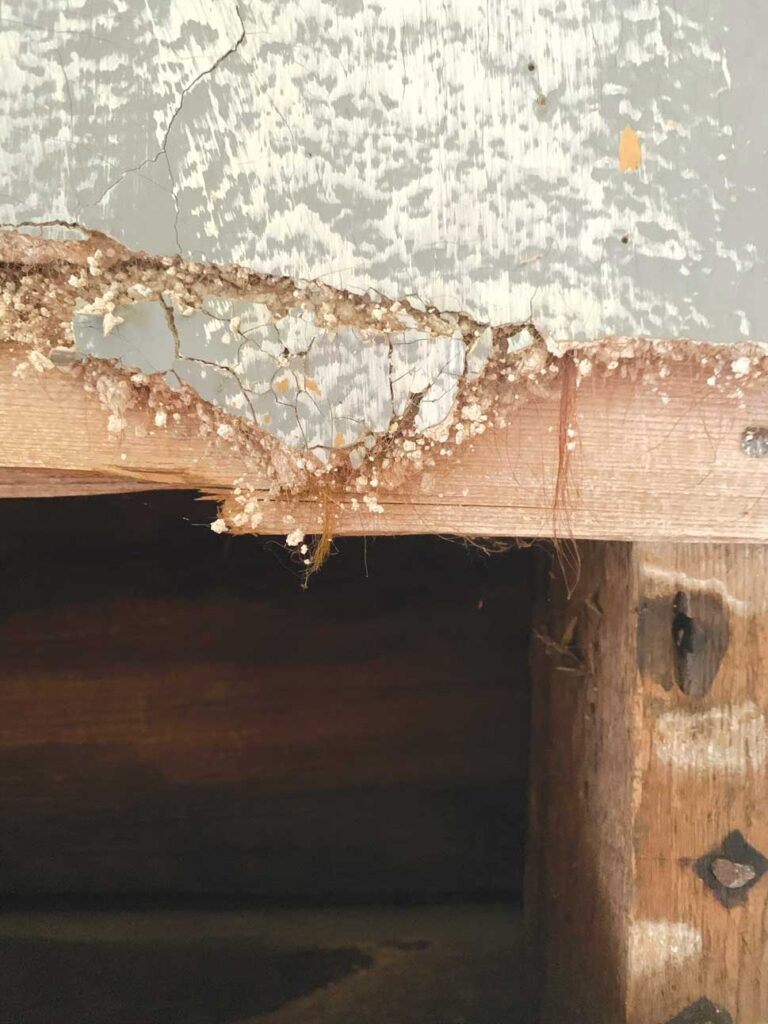 closeup of wall with brick, wood, and broken plaster