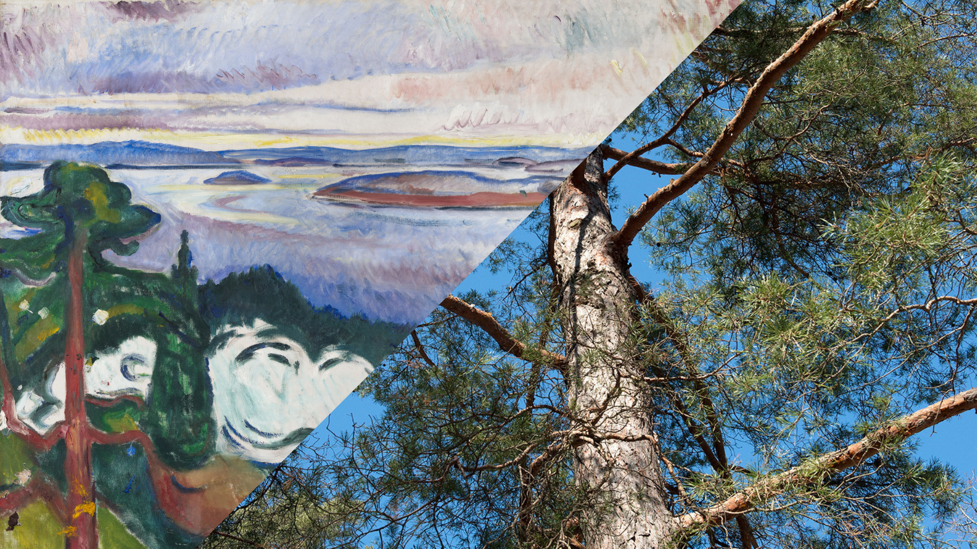 Arb/Art Double Take: Scots Pine & Munch