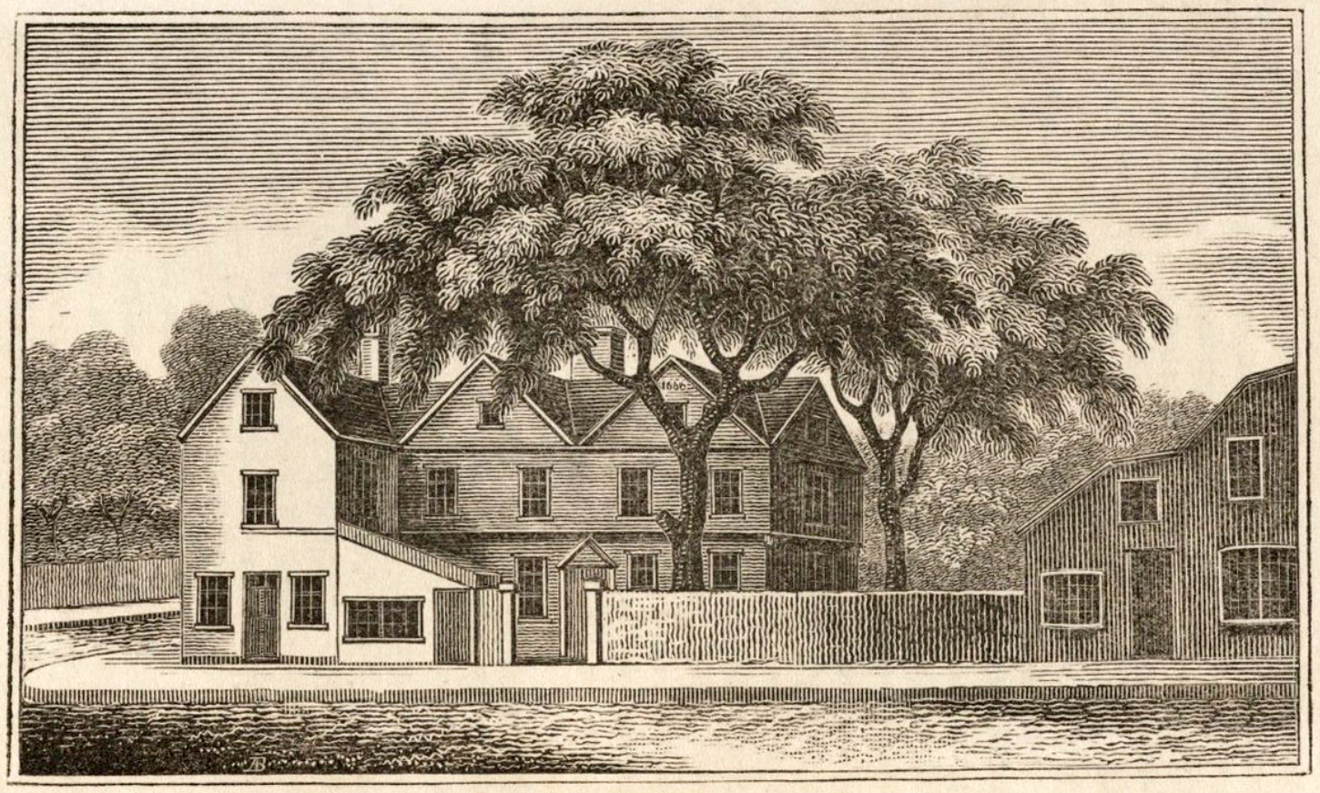 Investigating the Roots of Liberty