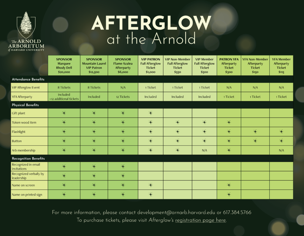 Sponsorship levels and benefits for Afterglow at the Arnold