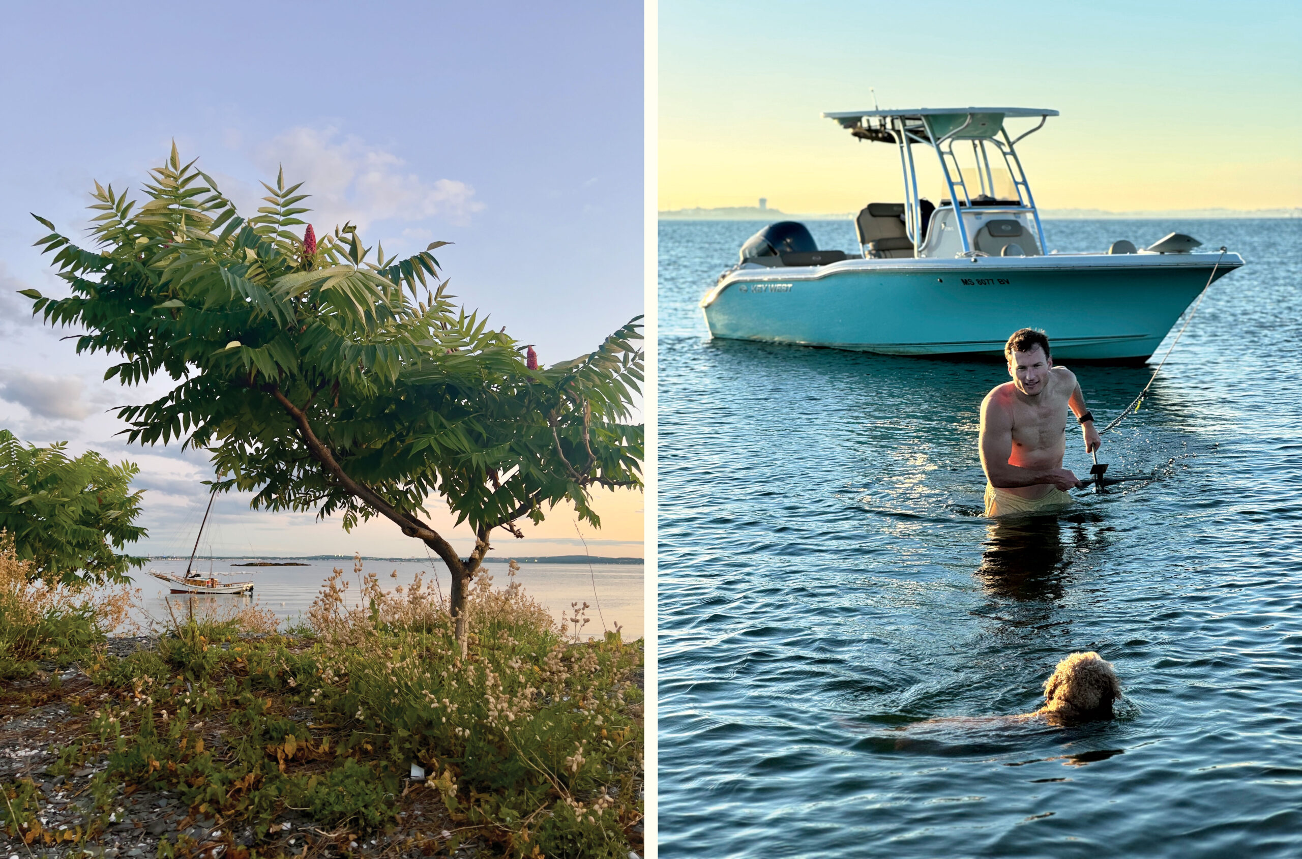 No Tree is an Island
