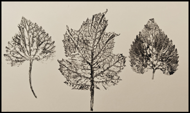 Ink prints of three leaves