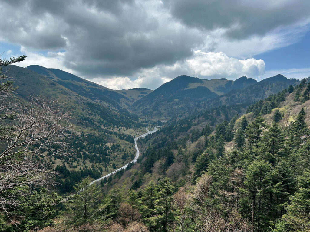 View from above of a mountainous, woody landscape, with a road running through it.