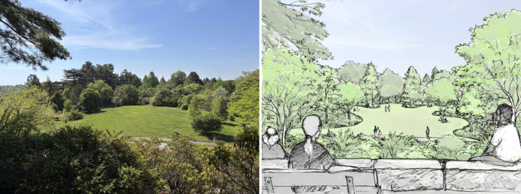 Expansive view of Explorers Garden at the Arnold Arboretum with conceptual rendering of planned renovations.