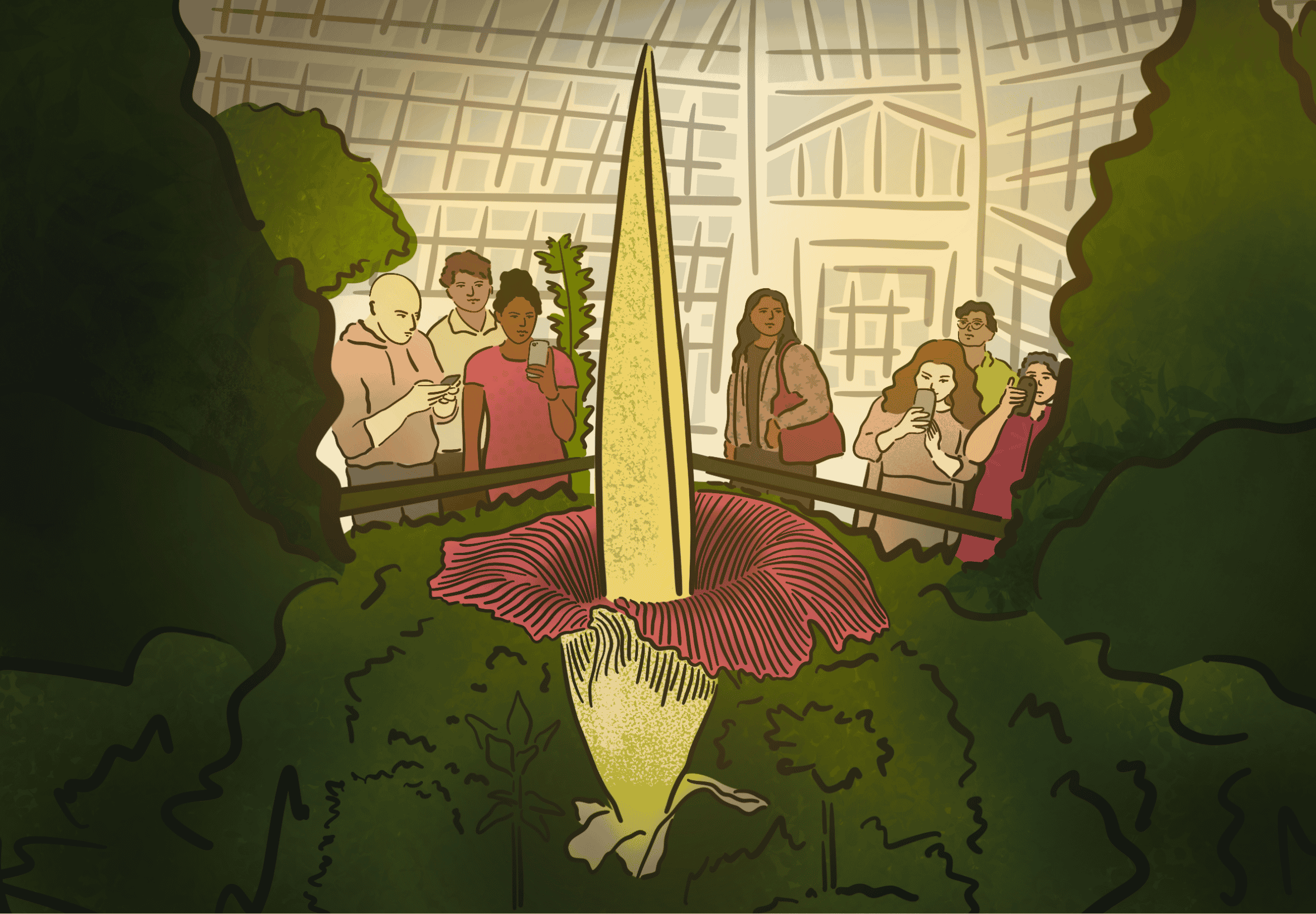Can You Tell an Amorphophallus from an Aspergillus?