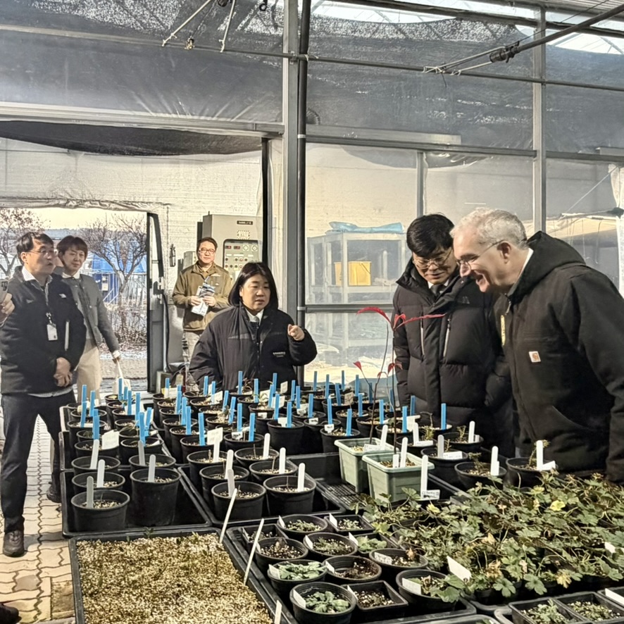 In a greenhouse six people stand near a table covered in small pots. Two of the men on the right lean over the table and examine the small plants in pots.