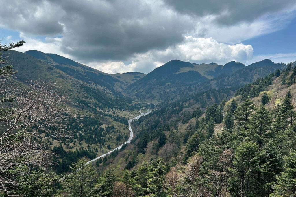 View from above of a mountainous, woody landscape, with a road running through it.