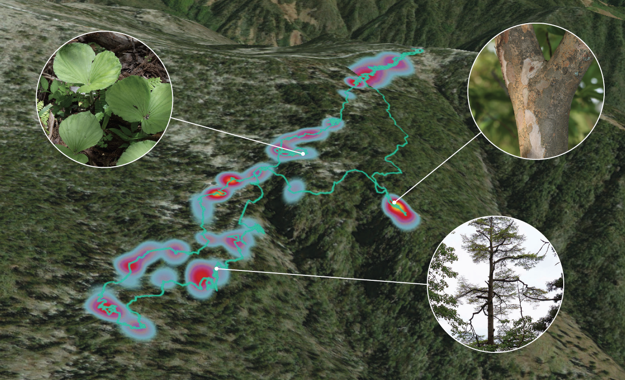 Heat map showing a trail and mountainous forest landscape. Three locations are marked with white dots and lines attached to photographs of plant images – one shows the bark of a tree, one shows a close-up of leaves, and one shows a a tree. 