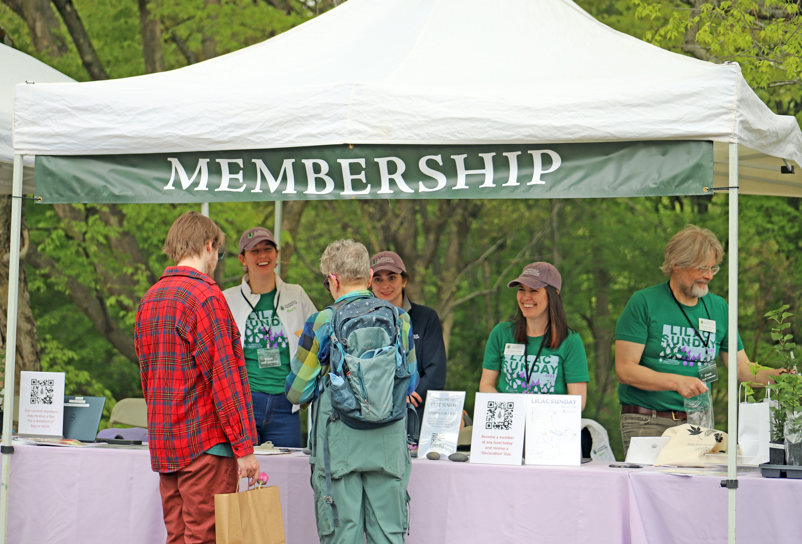 Membership tent at Lilac Sunday at the Arnold Arboretum