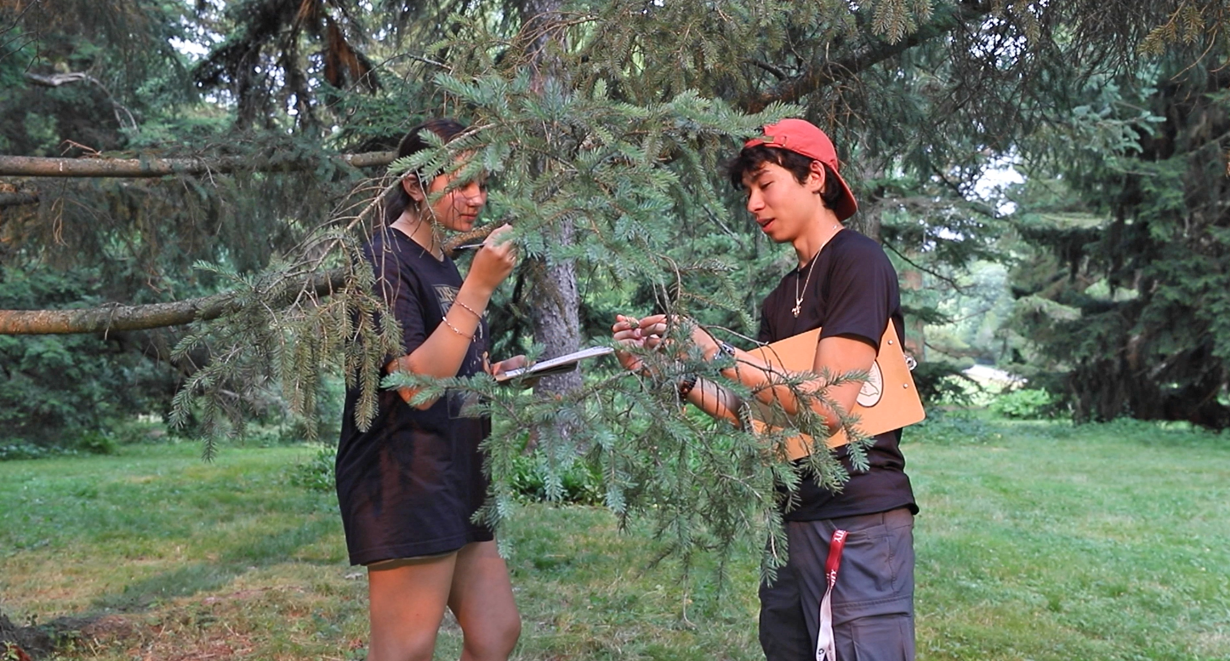Video Spotlight: People and Plants at the Arnold Arboretum